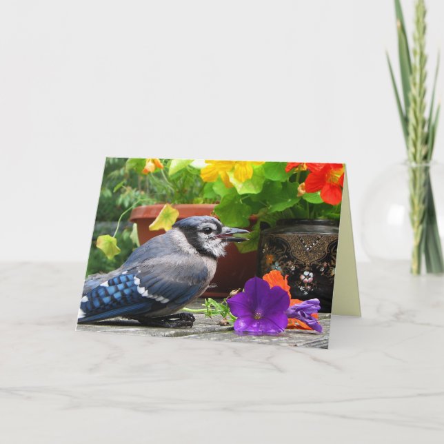 Blue Jay Flowers Mother's Day Card (Front)