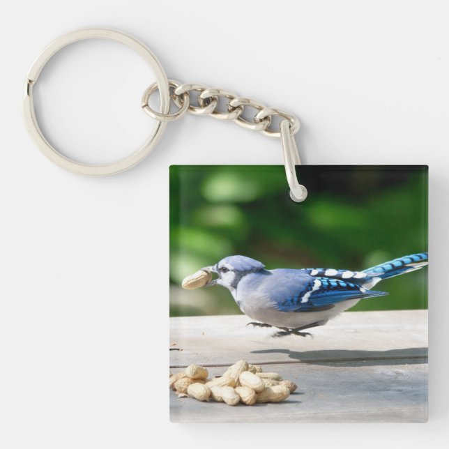 Blue Jay getting a peanut Key Ring (Front)