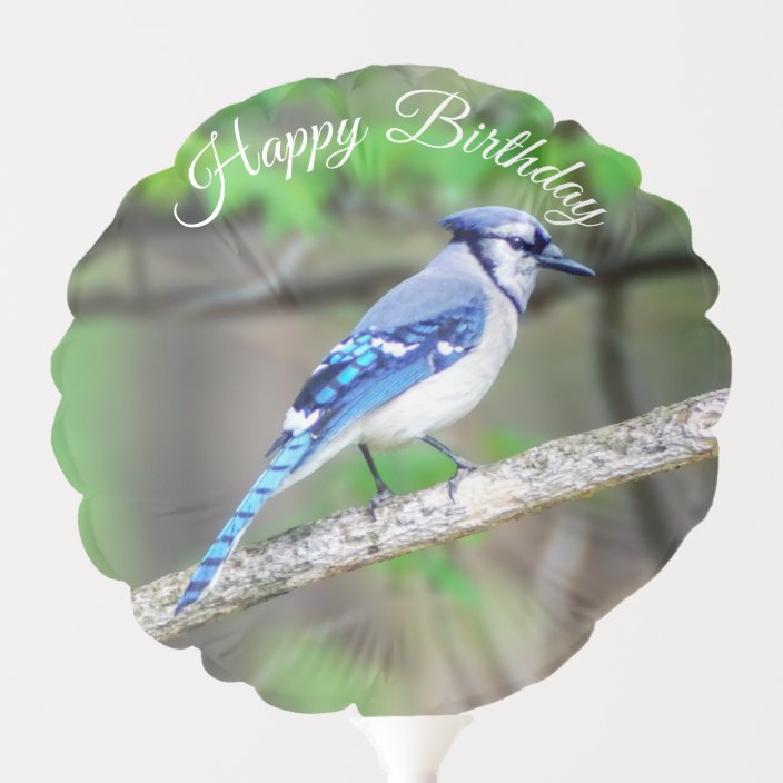 Blue Jay Happy Birthday Balloon Zazzle.co.uk