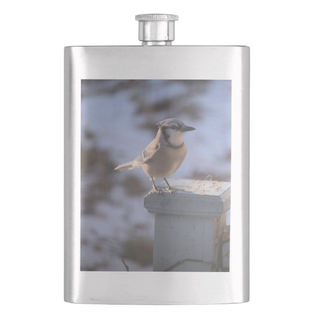 Blue Jay Hip Flask (Front)