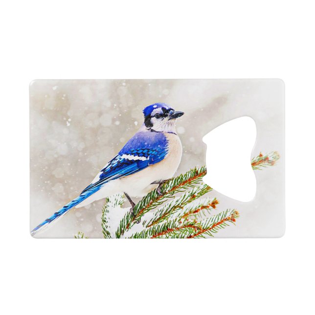 Blue jay in a pine tree with snow (Back Horizontal)
