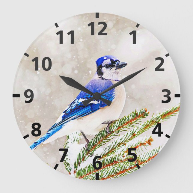 Blue jay in a pine tree with snow large clock (Front)