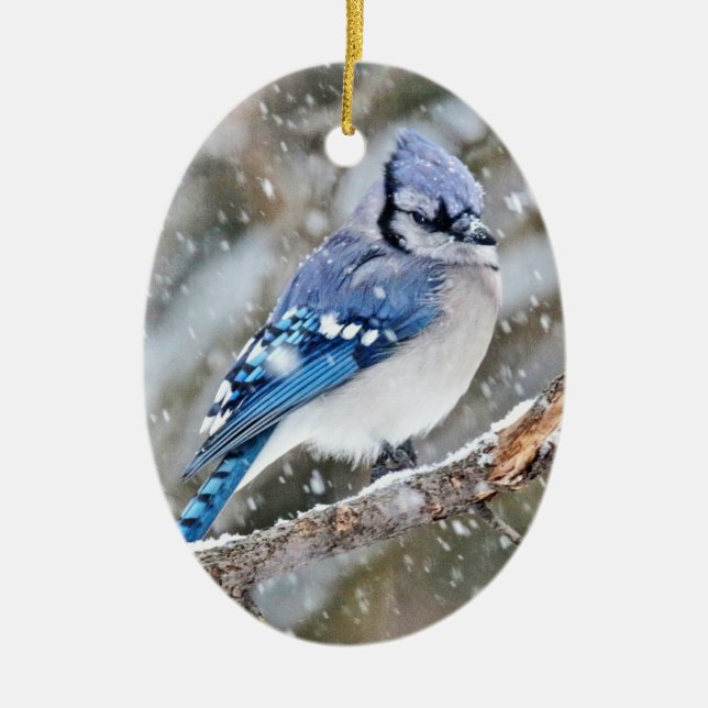 Blue Jay in a Snowstorm Ceramic Tree Decoration (Front)