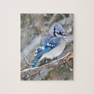 Blue Jay in a Snowstorm Jigsaw Puzzle