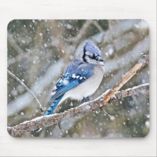 Blue Jay in a Snowstorm Mouse Mat