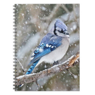 Blue Jay in a Snowstorm Notebook