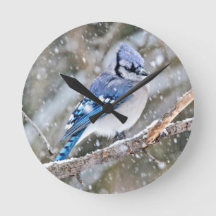 Blue Jay in a Snowstorm Round Clock