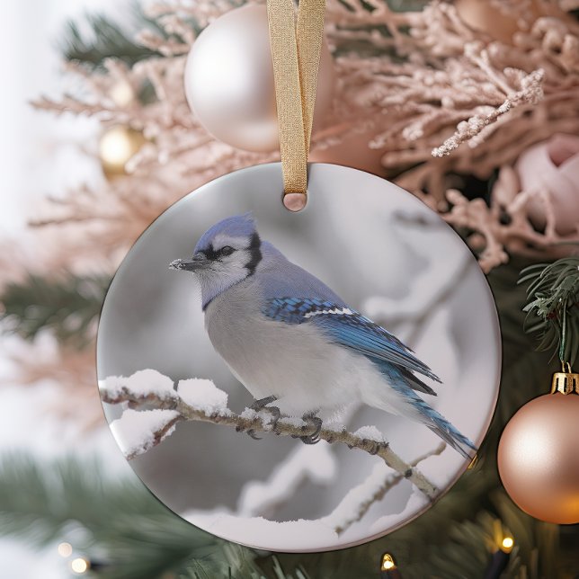Blue Jay in Algonquin Park Ceramic Tree Decoration (Creator Uploaded)