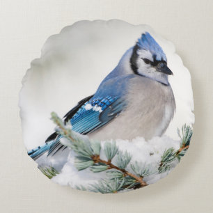 Blue Jay in Blue Atlas Cedar Round Cushion