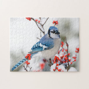 Blue Jay in Common Winterberry Jigsaw Puzzle