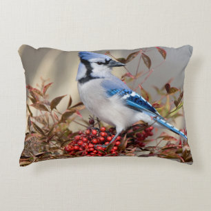 Blue Jay in Nandina Heavenly Bamboo Decorative Cushion