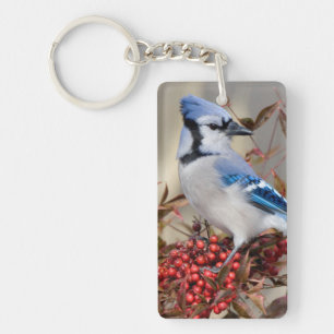 Blue Jay in Nandina Heavenly Bamboo Key Ring
