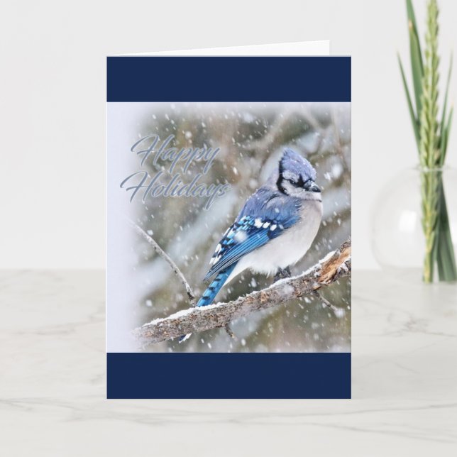 Blue Jay in Snow Christmas Holiday (Front)