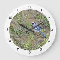 Blue Jay in Southern Wax Myrtle Wall Clock