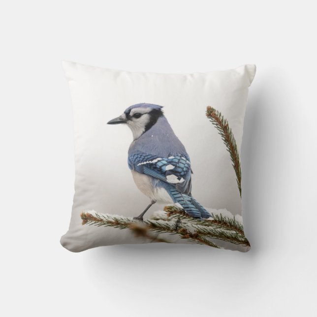 Blue Jay in Winter Cushion (Front)