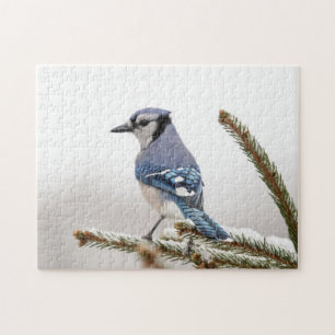 Blue Jay in Winter Jigsaw Puzzle