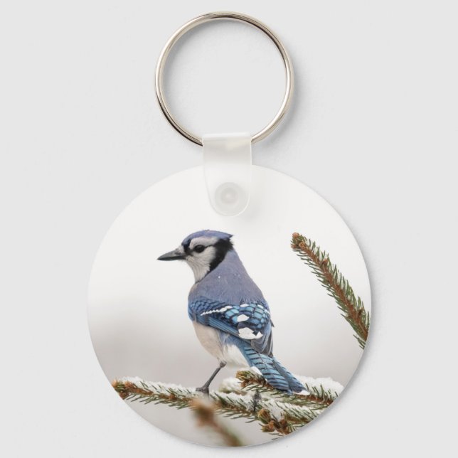 Blue Jay in Winter Key Ring (Front)