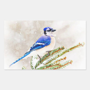 Blue Jay in Winter Rectangular Sticker