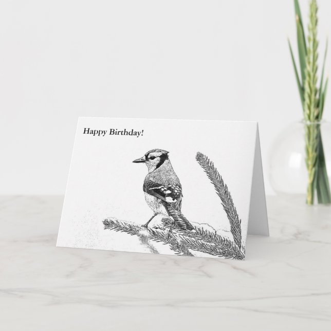 Blue Jay in Winter Sketch Birthday Card (Front)
