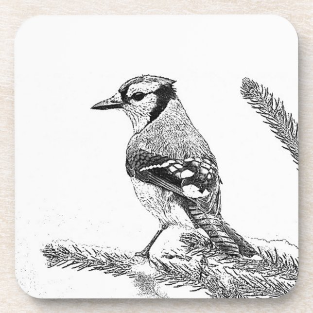 Blue Jay in Winter Sketch Coaster (Front)