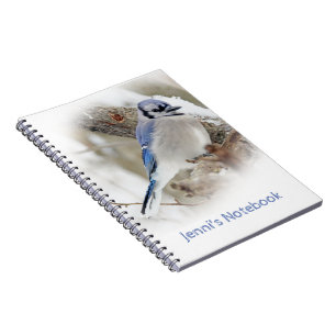 Blue Jay in Winter Snow Notebook