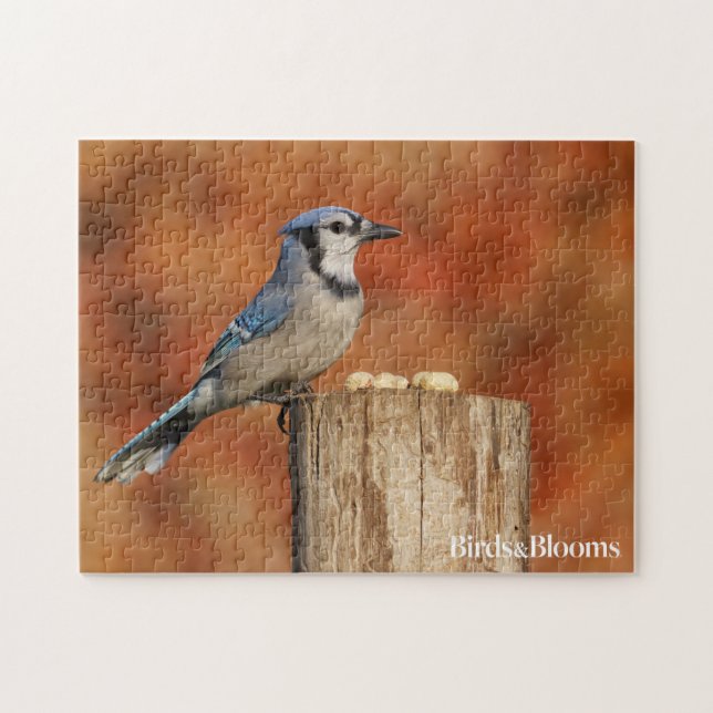 Blue Jay Jigsaw Puzzle (Horizontal)