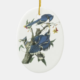 Blue Jay, John Audubon Ceramic Tree Decoration