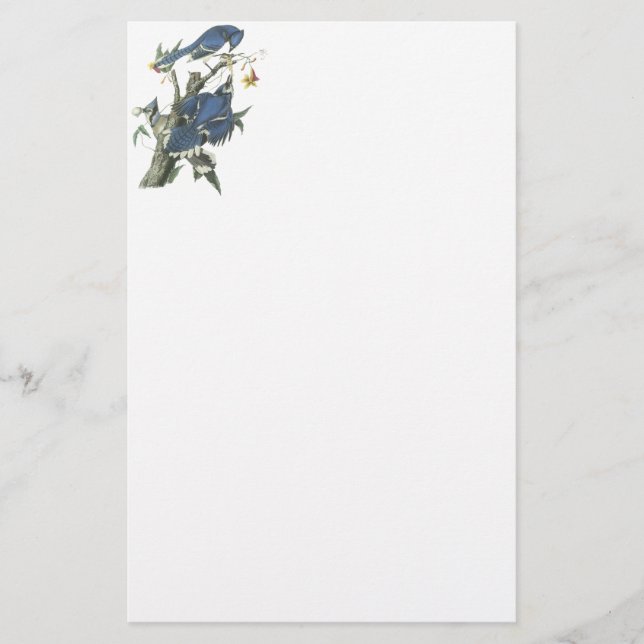 Blue Jay, John Audubon Stationery (Front)