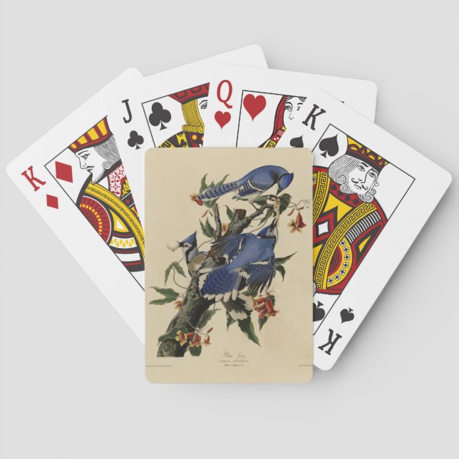 Blue Jay - John James Audubon's Birds of America Playing Cards (Back)