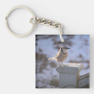 Blue Jay Key Ring