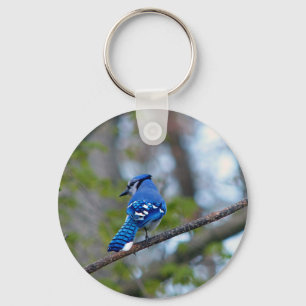 Blue Jay Key Ring