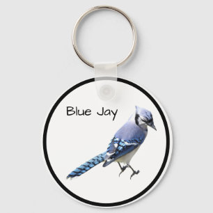 Blue Jay Key Ring