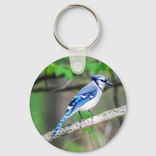 Blue Jay Keychain