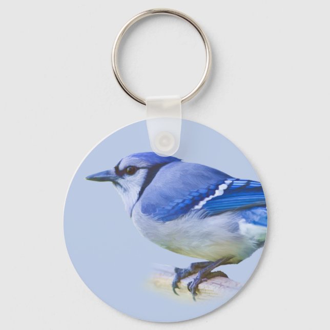 blue Jay Keychain (Front)