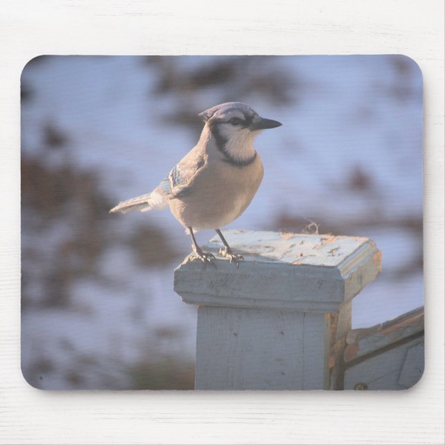 Blue Jay  Mouse Mat (Front)
