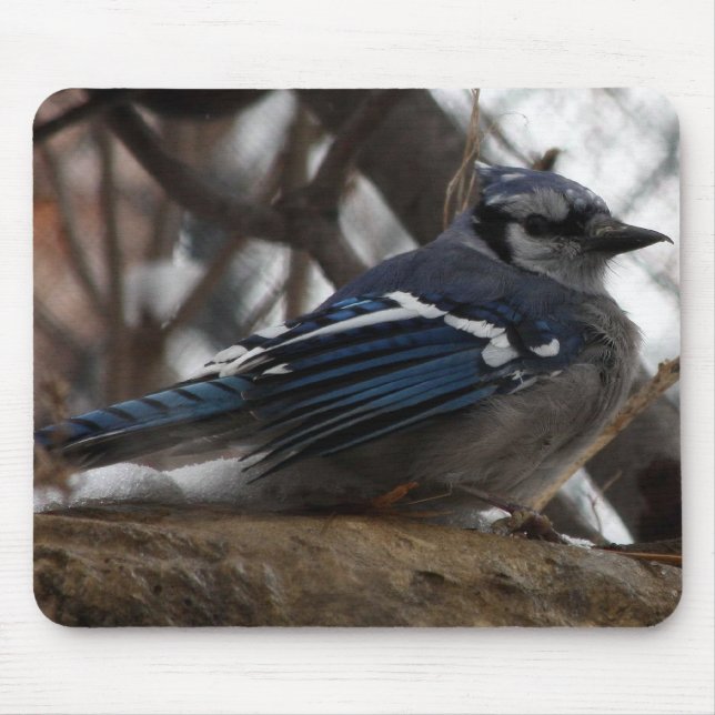 Blue Jay Mouse Mat (Front)