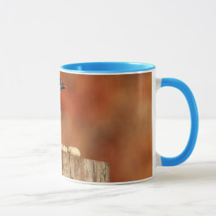 Blue Jay Mug