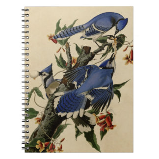 Blue Jay Notebook