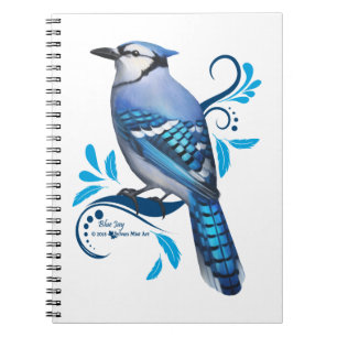 Blue Jay Notebook