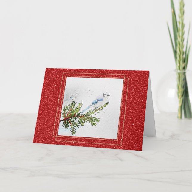 Blue Jay on a Pine Branch Christmas Card (Front)