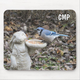 Blue Jay on Cute Rabbit Bird Feeder Mouse Mat