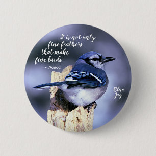 Blue Jay on Post Wildlife Photograph Nature 6 Cm Round Badge