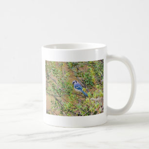 Blue Jay on Southern Wax Myrtle Coffee Mug