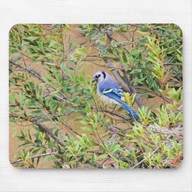 Blue Jay on Southern Wax Myrtle Mouse Mat (Front)