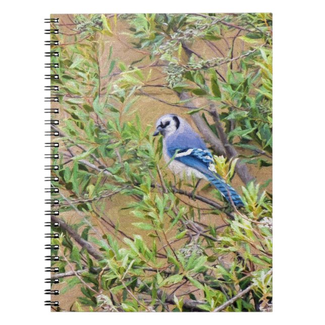 Blue Jay on Southern Wax Myrtle Notebook (Front)