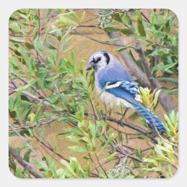 Blue Jay on Southern Wax Myrtle Square Sticker (Front)