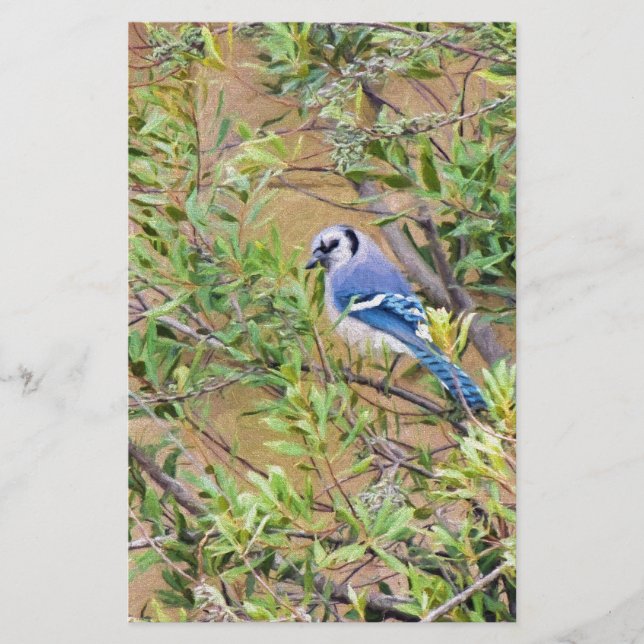 Blue Jay on Southern Wax Myrtle Stationery (Front)