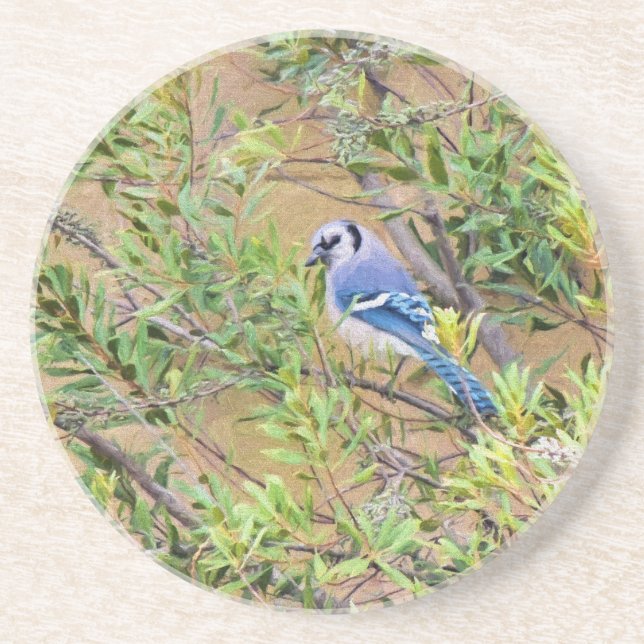 Blue Jay on Wax Myrtle Coaster (Front)