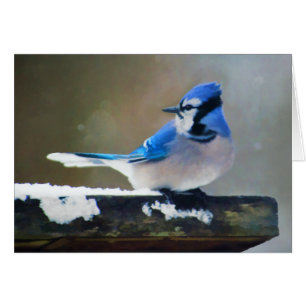 Blue Jay Painting - Original Bird Art