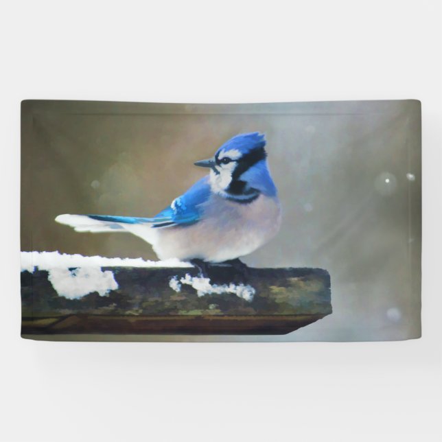 Blue Jay Painting - Original Bird Art Banner (Horizontal)